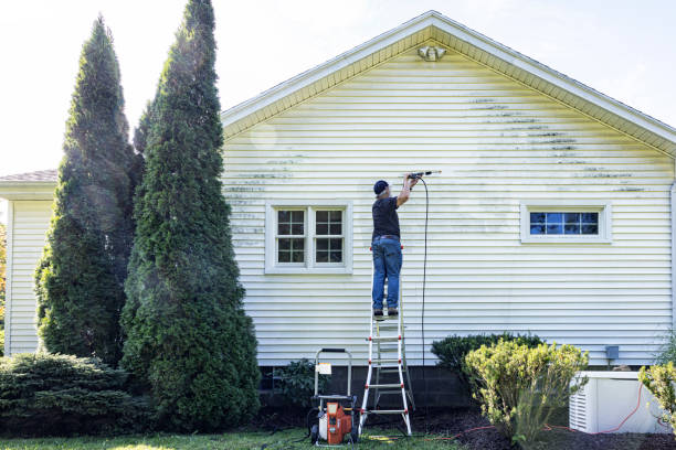 Best Driveway Pressure Washing  in Montpelier, OH